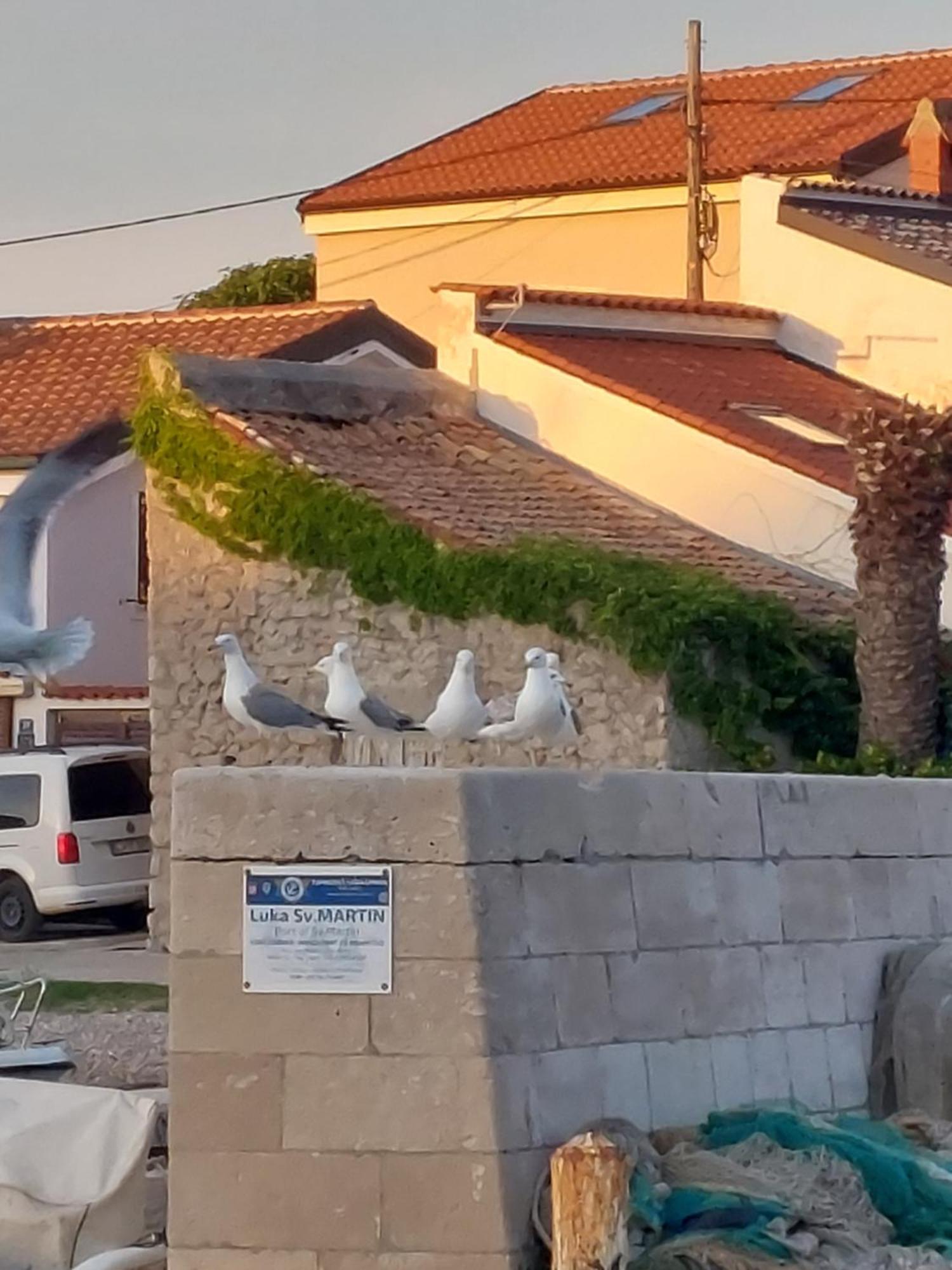 Apartments Suncica Mali Losinj Ngoại thất bức ảnh