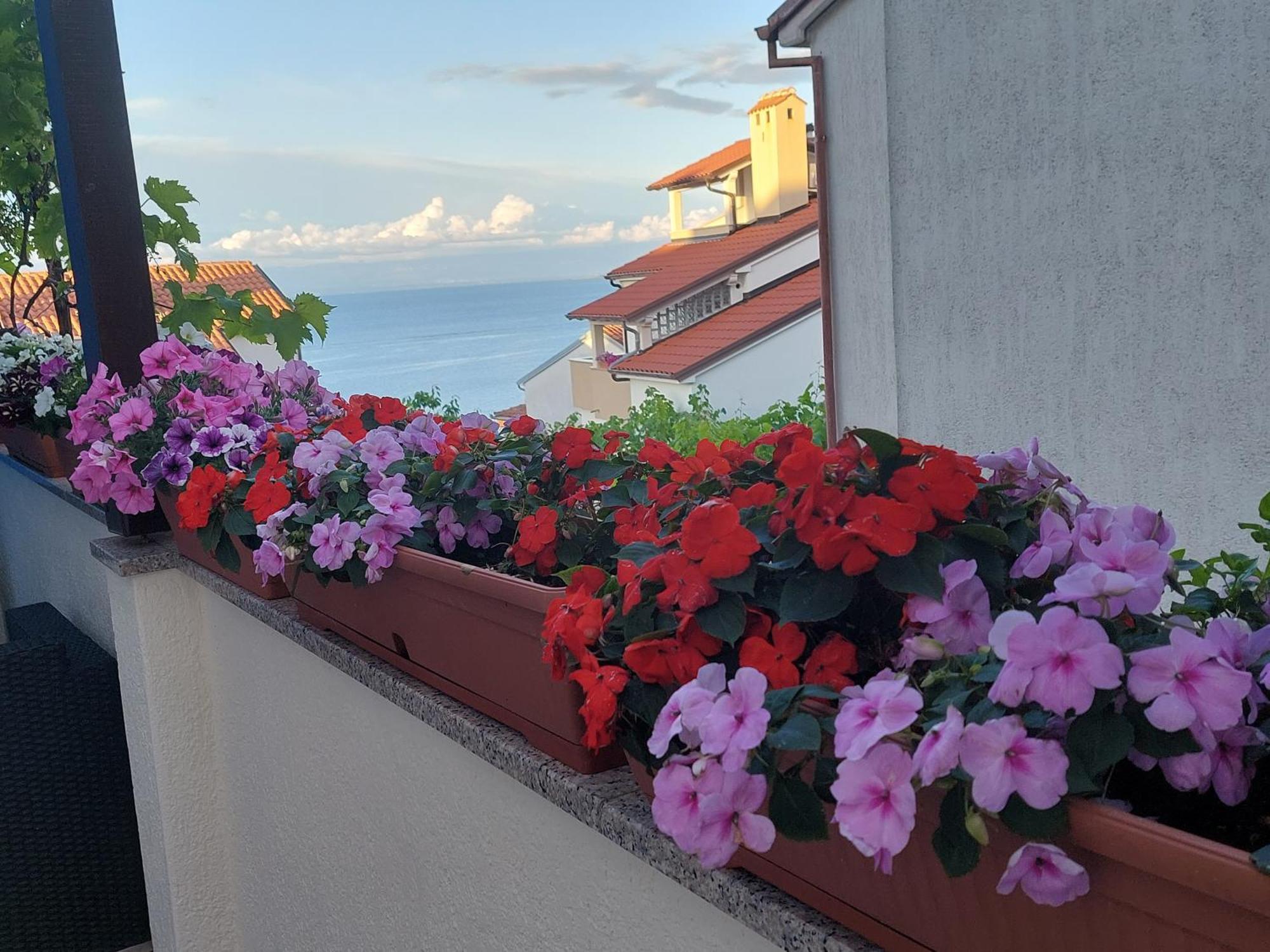 Apartments Suncica Mali Losinj Ngoại thất bức ảnh