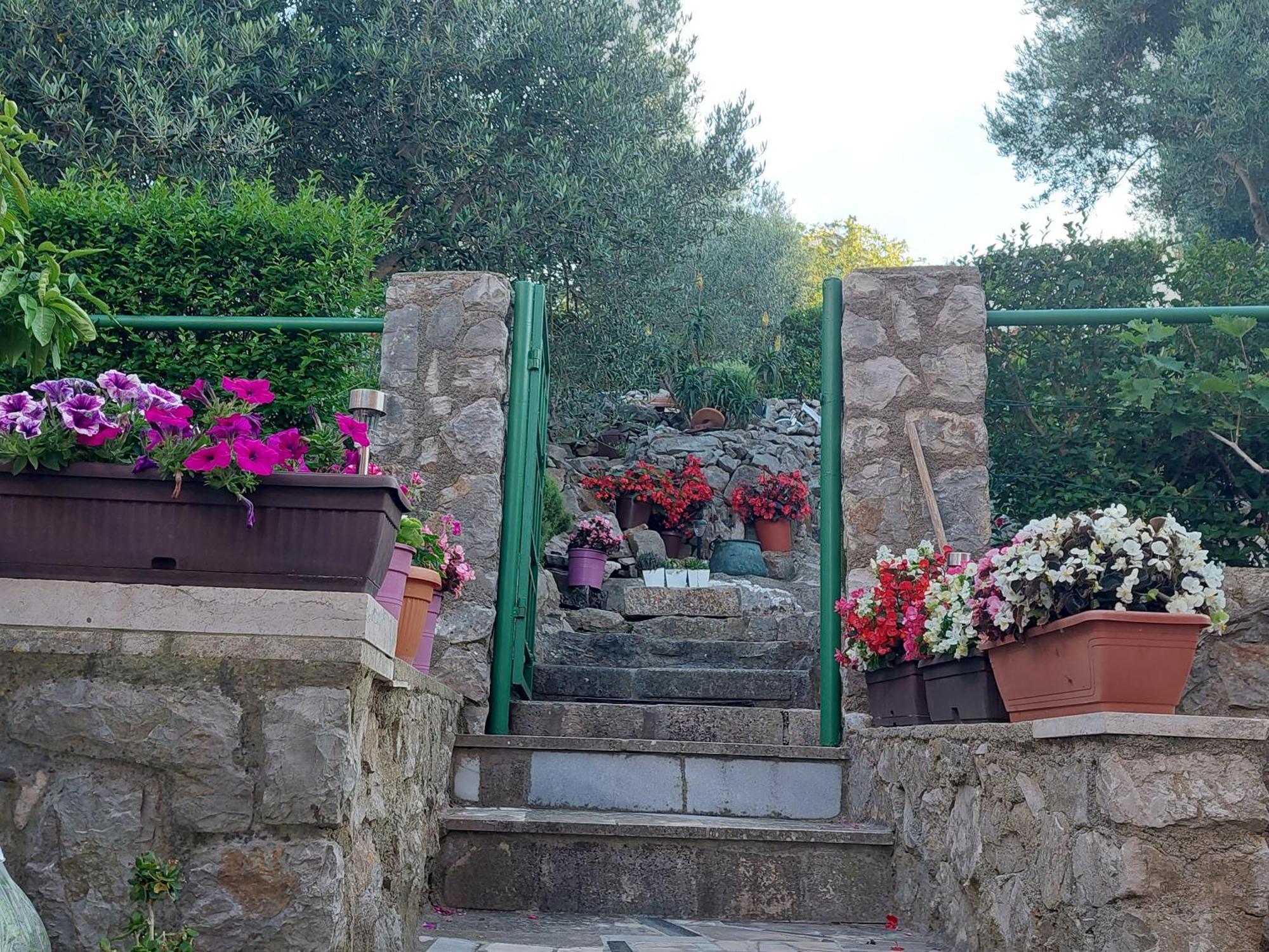 Apartments Suncica Mali Losinj Ngoại thất bức ảnh