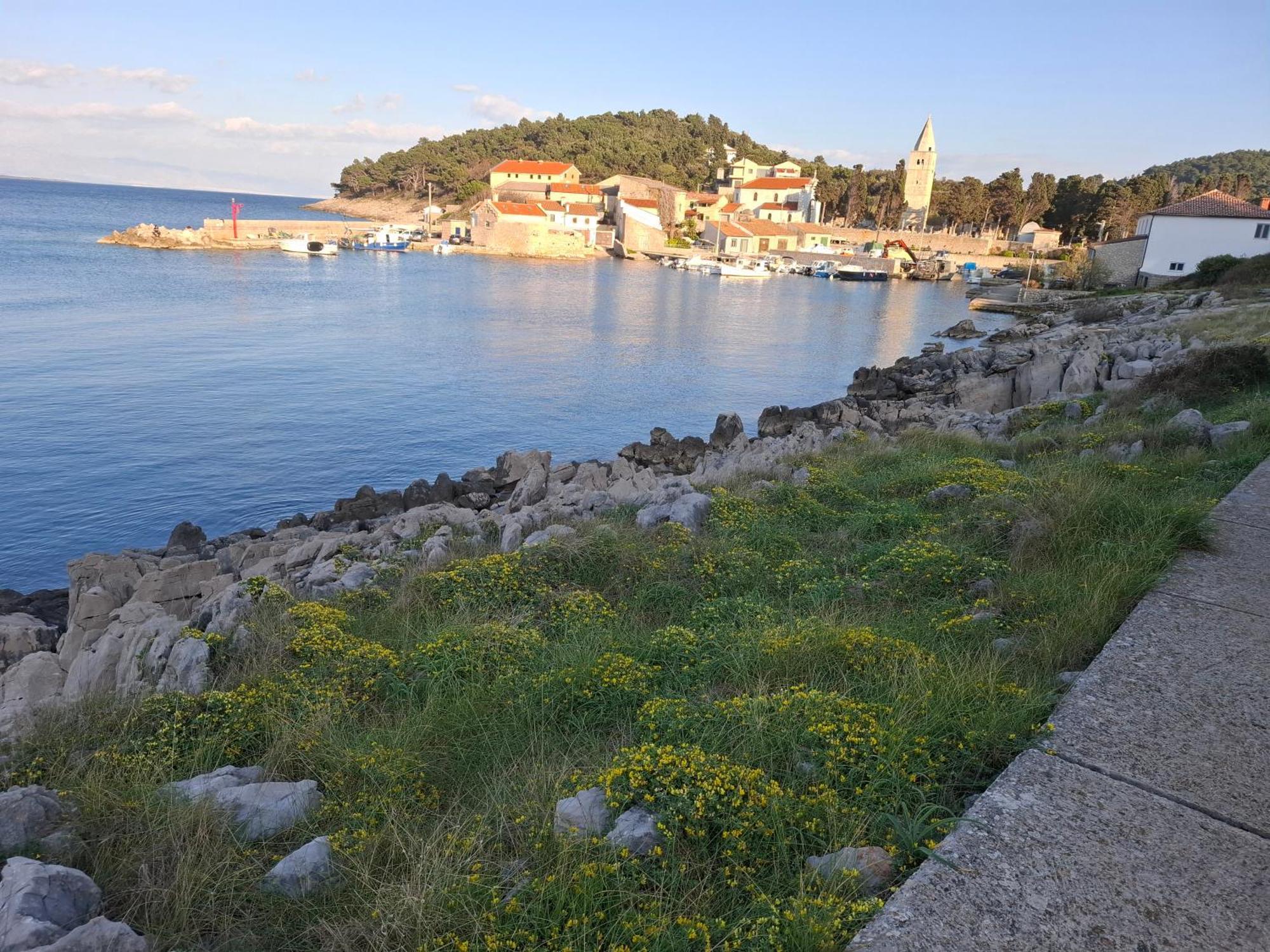 Apartments Suncica Mali Losinj Ngoại thất bức ảnh